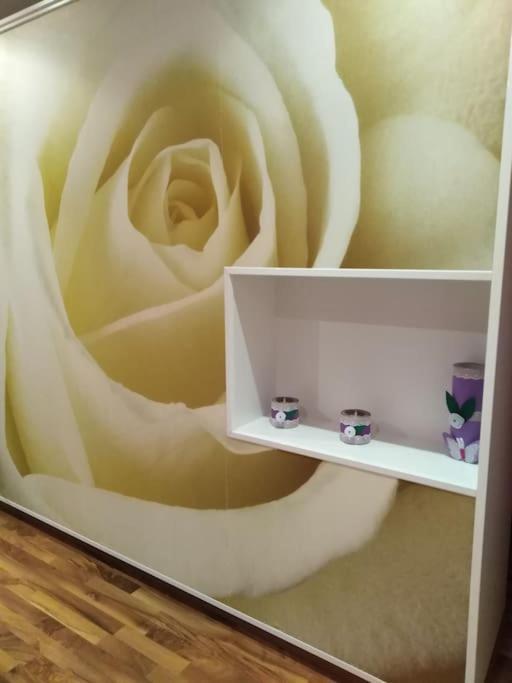 אלקנאר Casa Remei מראה חיצוני תמונה